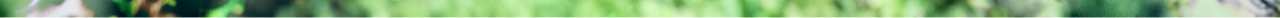 e 1.png