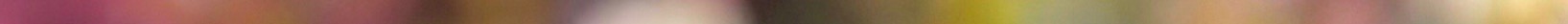 swf1 2.jpeg
