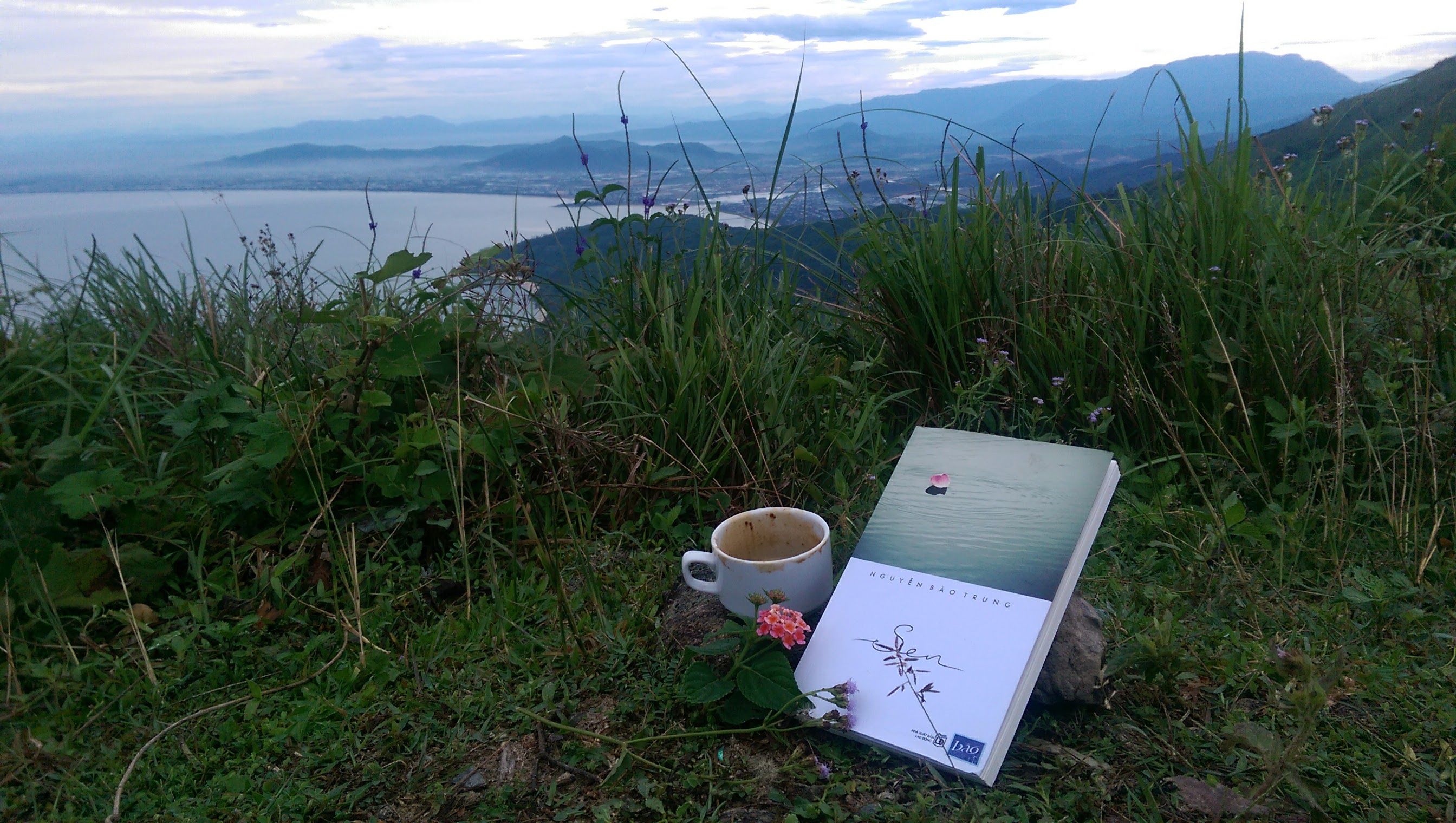 IMAG0141.jpg