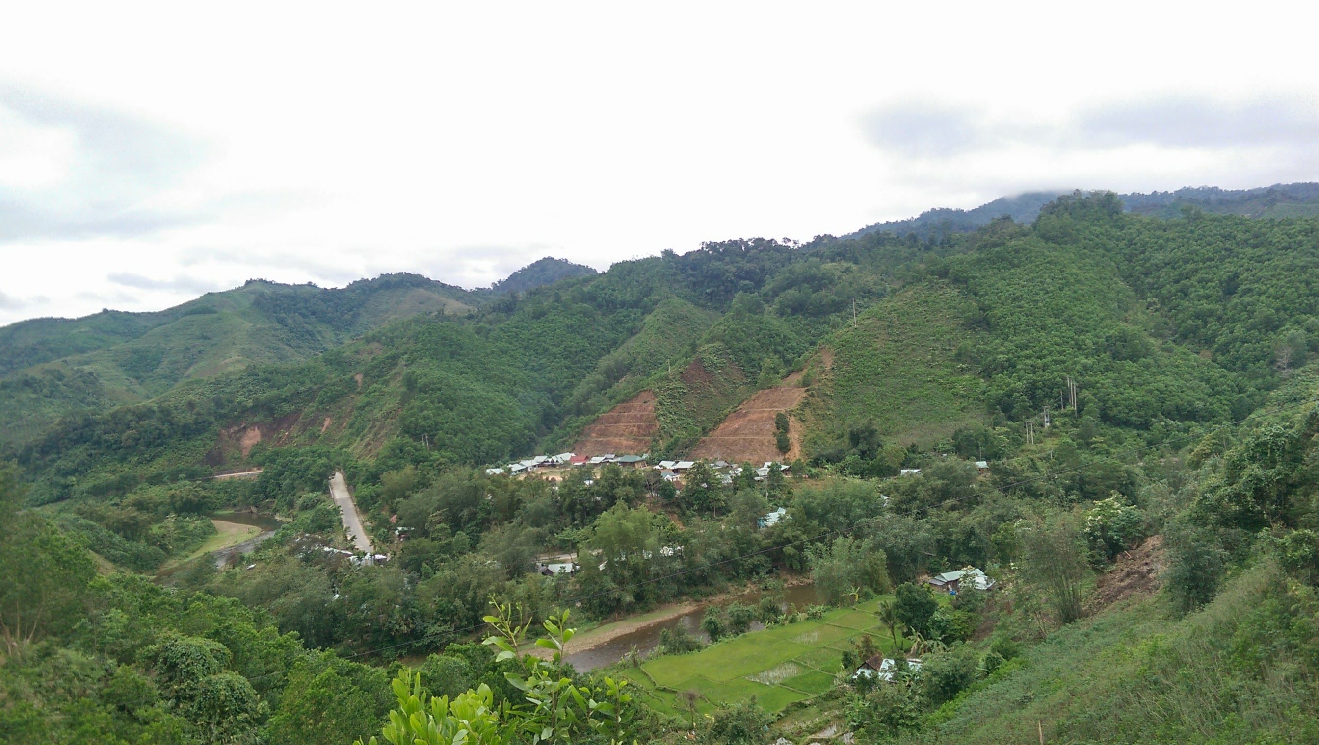 IMAG1427.jpg