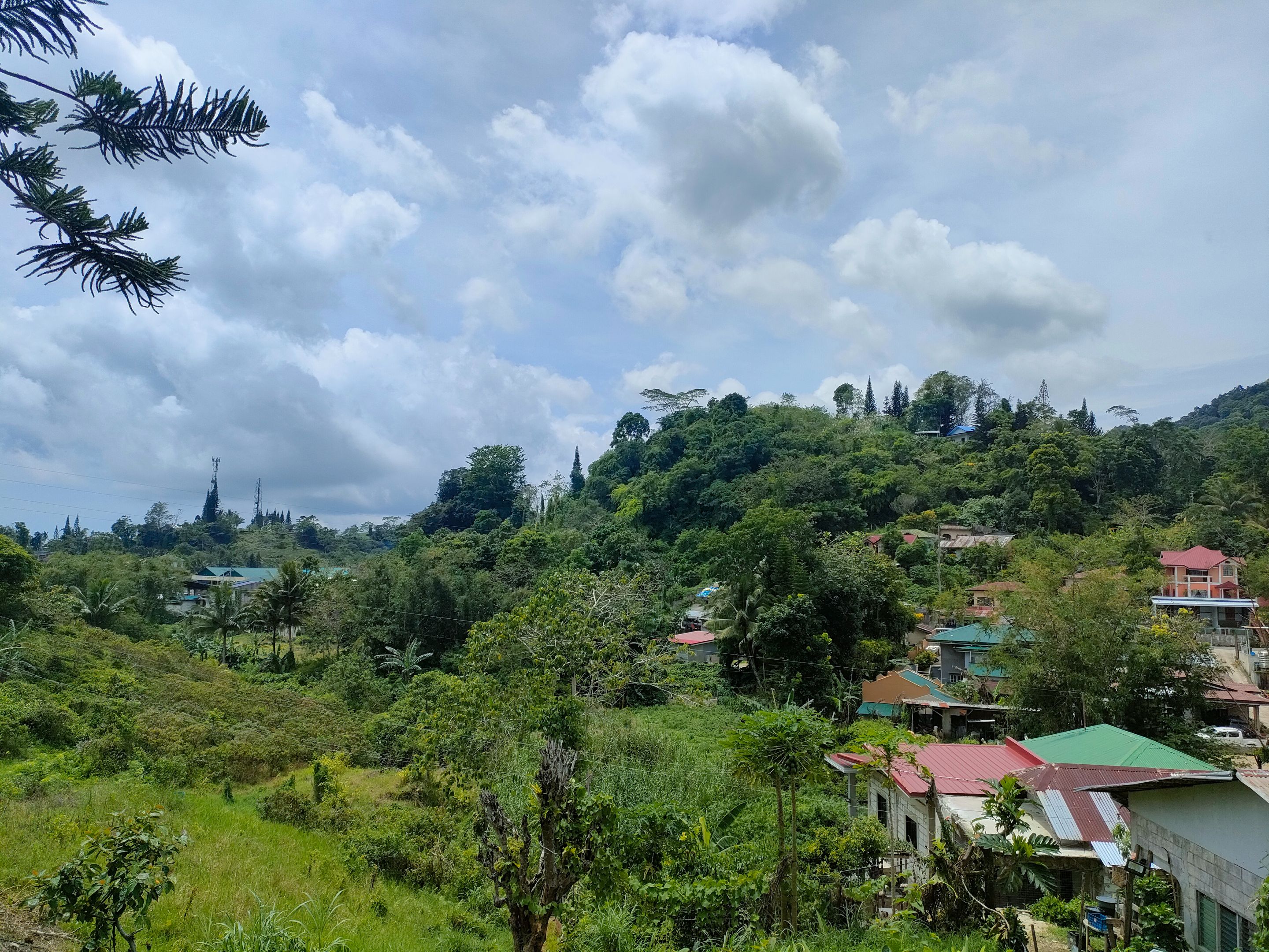  ANOTHER VIEW.jpg