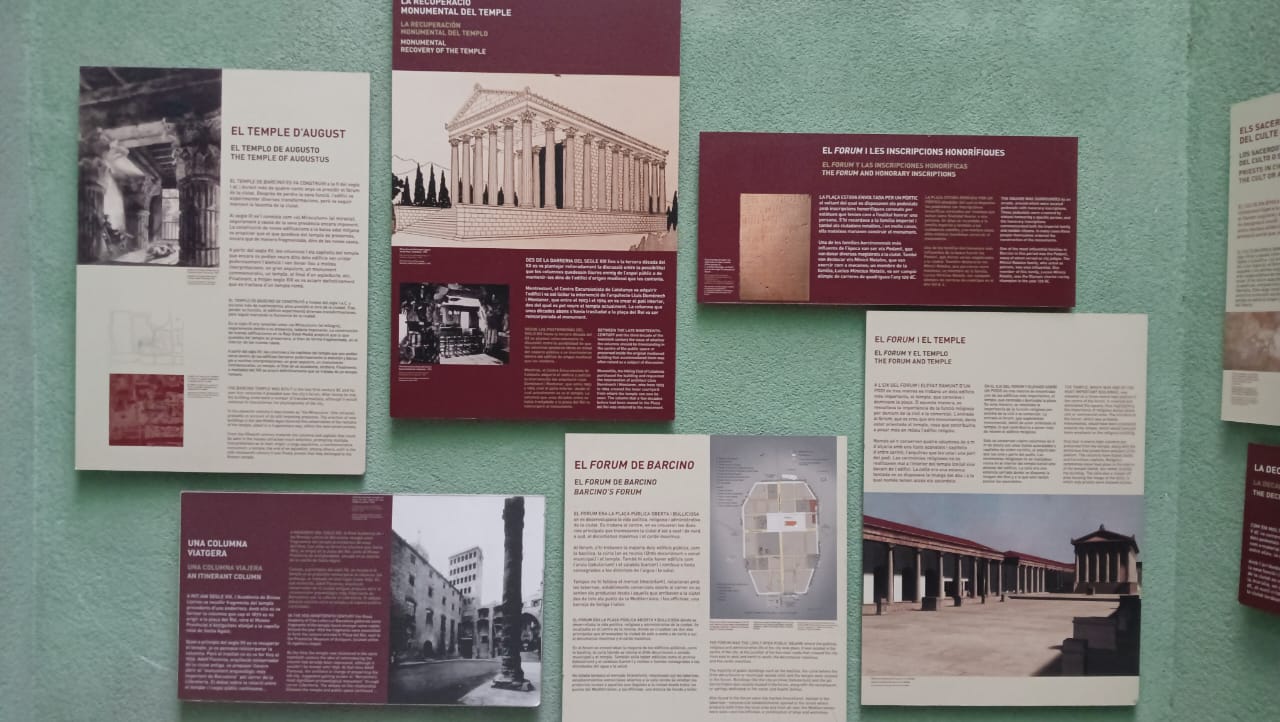 WhatsApp Image 2025-10-05 at 12.47.56.jpeg