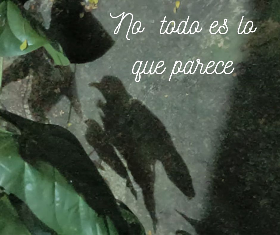 No todo es lo que parece.jpg