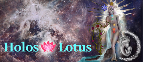 LOgi lotus 500.jpg