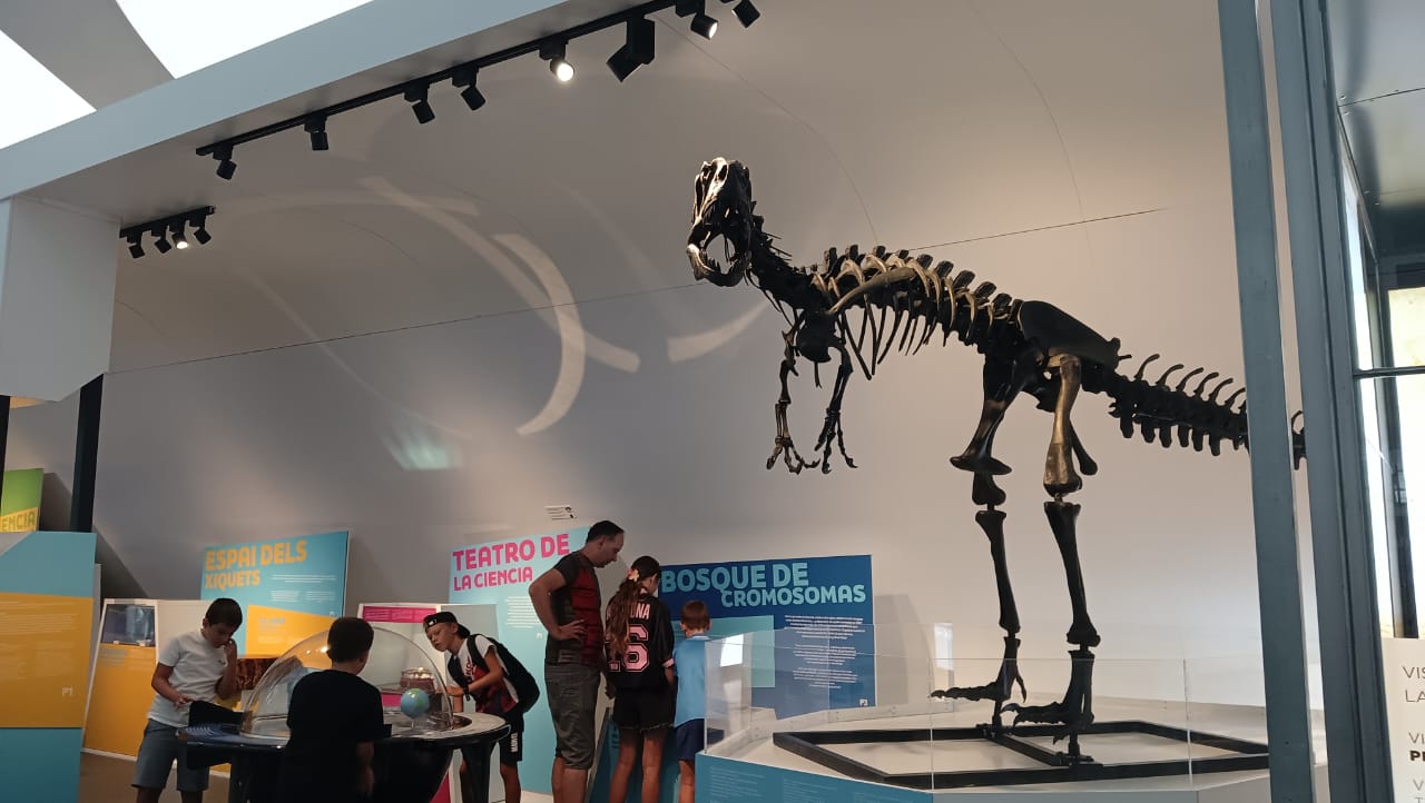 WhatsApp Image 2025-10-20 at 15.56.11 (1).jpeg