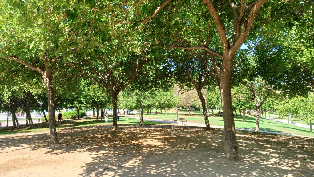 WhatsApp Image 2025-10-20 at 15.55.55 (1).jpeg