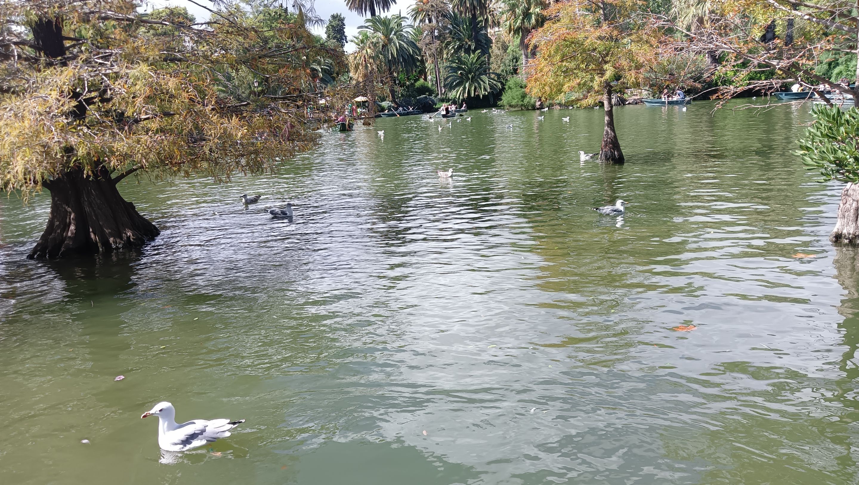 IMG20250920141049_072616.jpg
