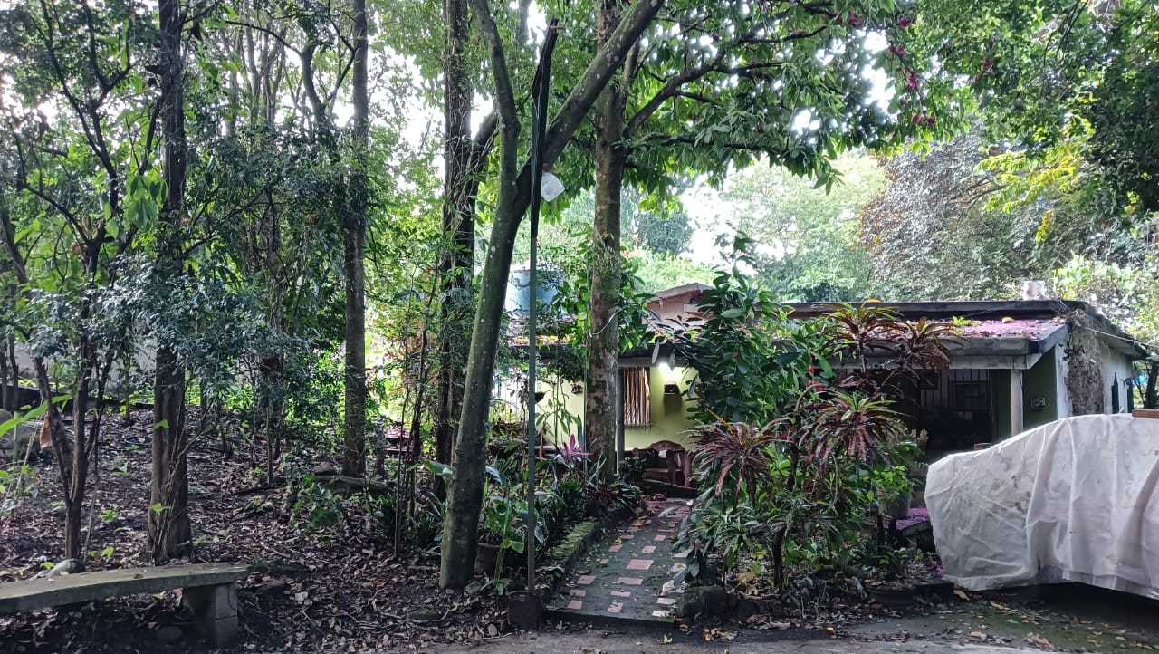 WhatsApp Image 2025-10-06 at 07.47.48.jpeg