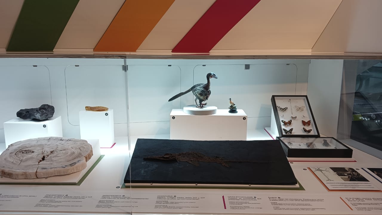 WhatsApp Image 2025-10-20 at 15.56.13.jpeg