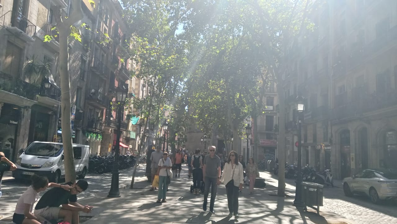 WhatsApp Image 2025-10-05 at 12.48.00 (3).jpeg