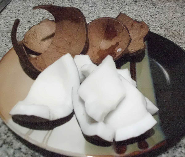 cocada 1.JPG