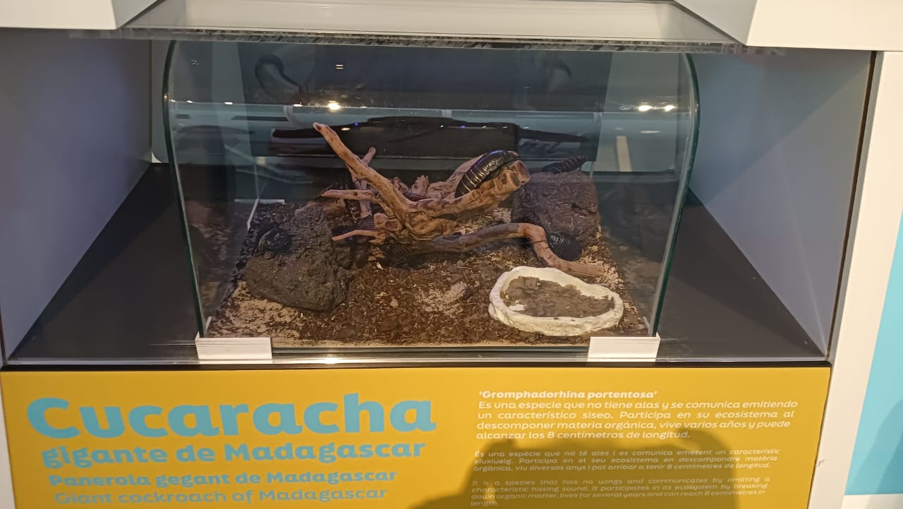 WhatsApp Image 2025-10-20 at 15.56.12.jpeg