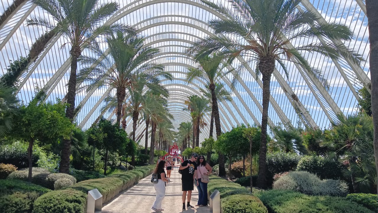 WhatsApp Image 2025-10-20 at 15.56.02.jpeg