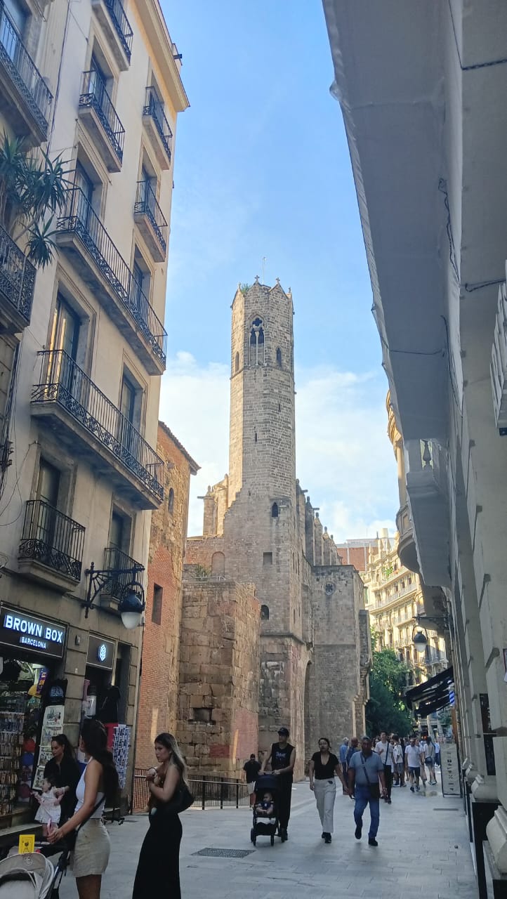 WhatsApp Image 2025-10-05 at 12.47.57.jpeg