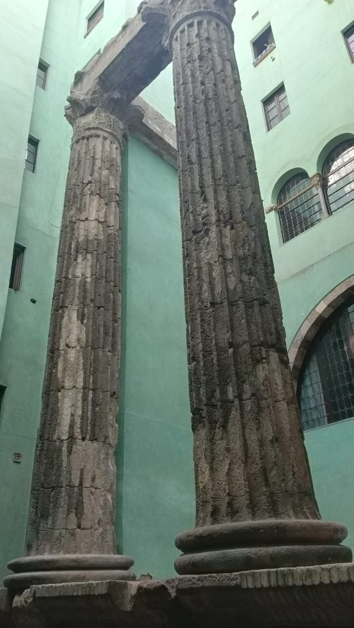 WhatsApp Image 2025-10-05 at 12.47.55 (3).jpeg