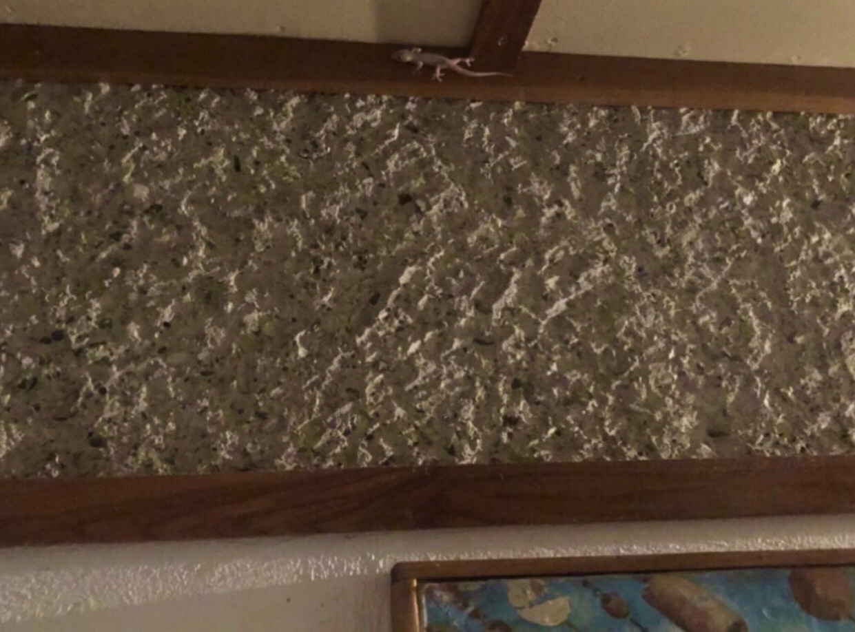 F8141529-0EC1-4016-A21E-1A2765933249.jpeg
