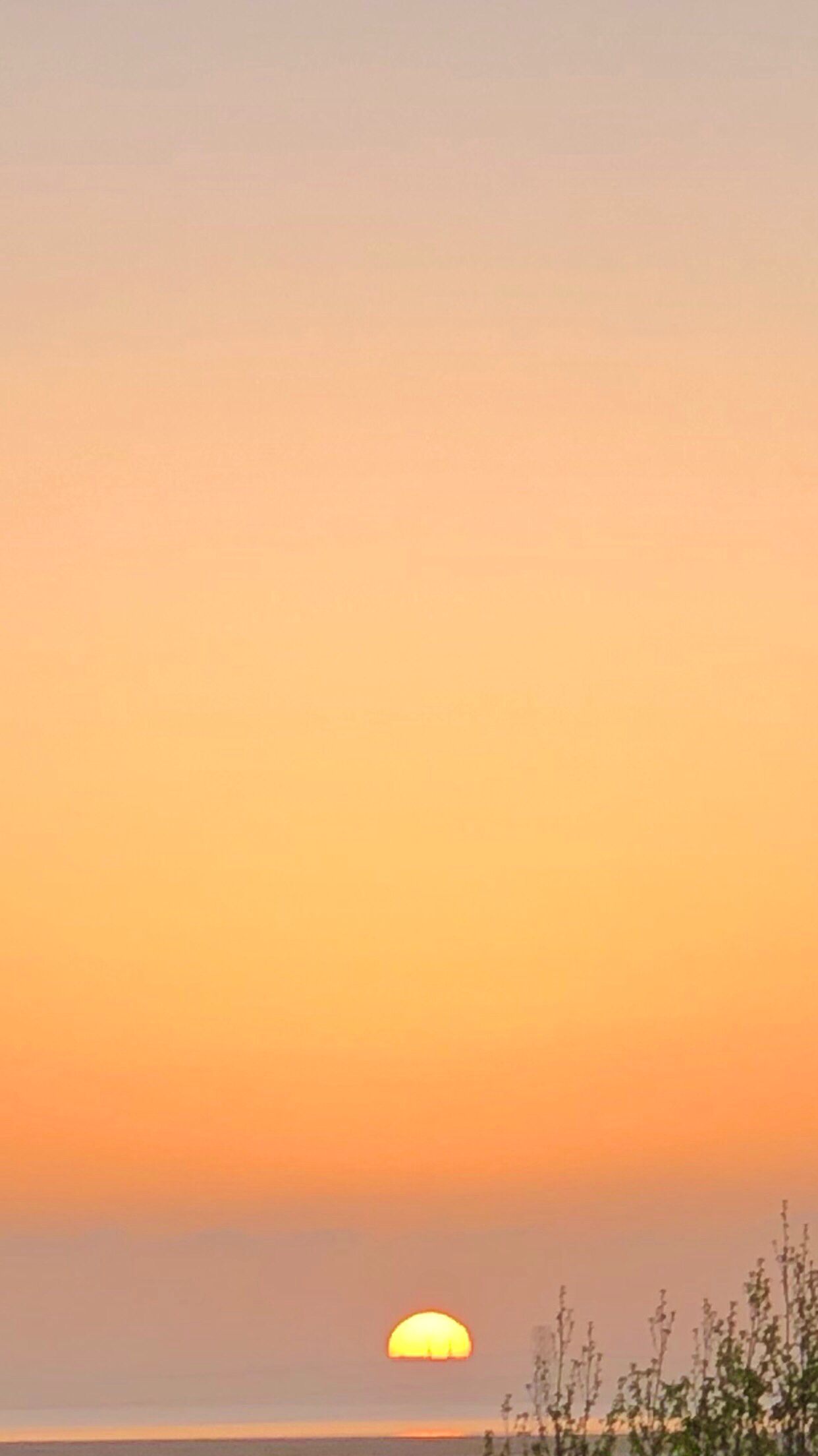 IMG_6376.png