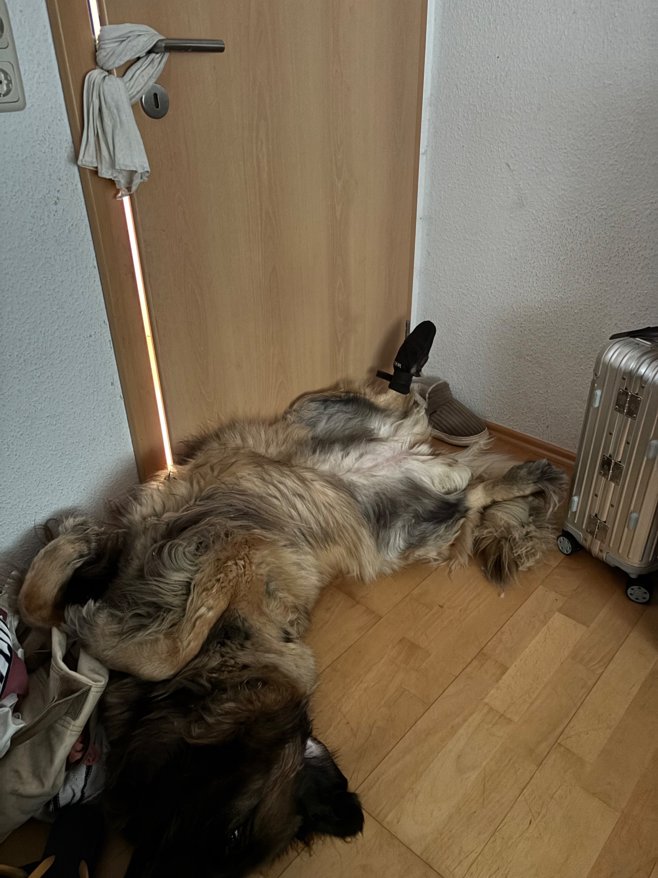IMG_0625.jpeg
