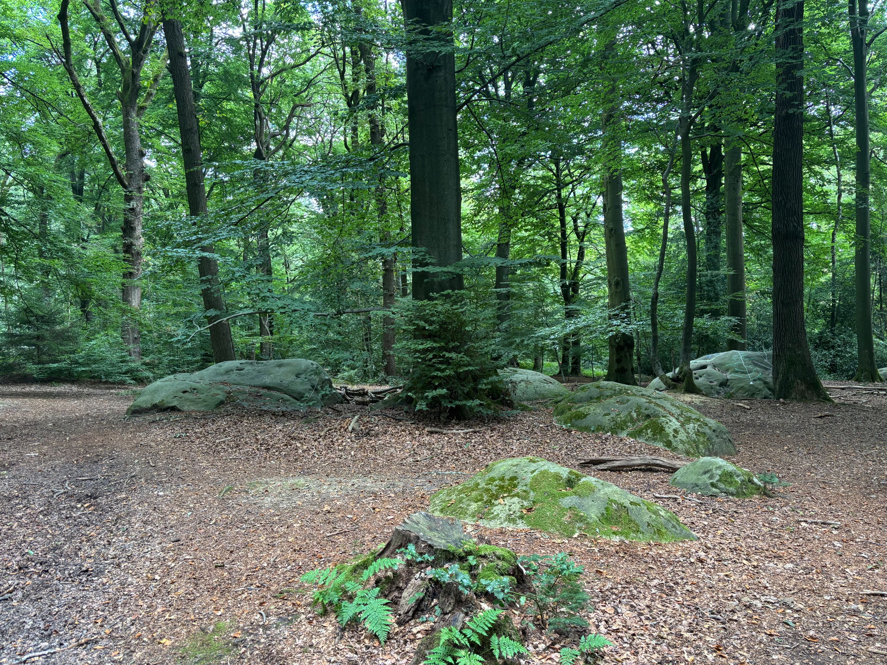 IMG_1002.jpeg