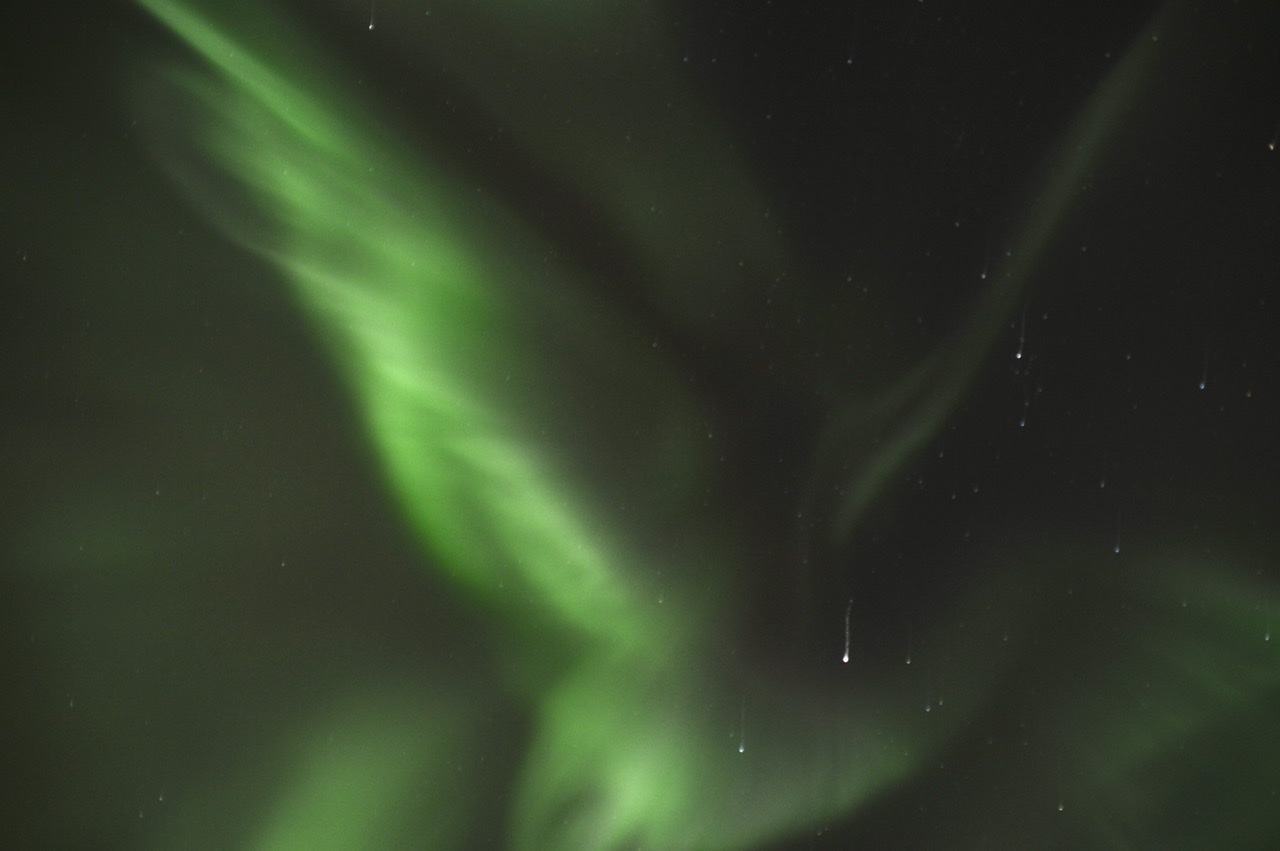 1F244948-B6FA-4D6B-8094-544E054E25AD.jpeg