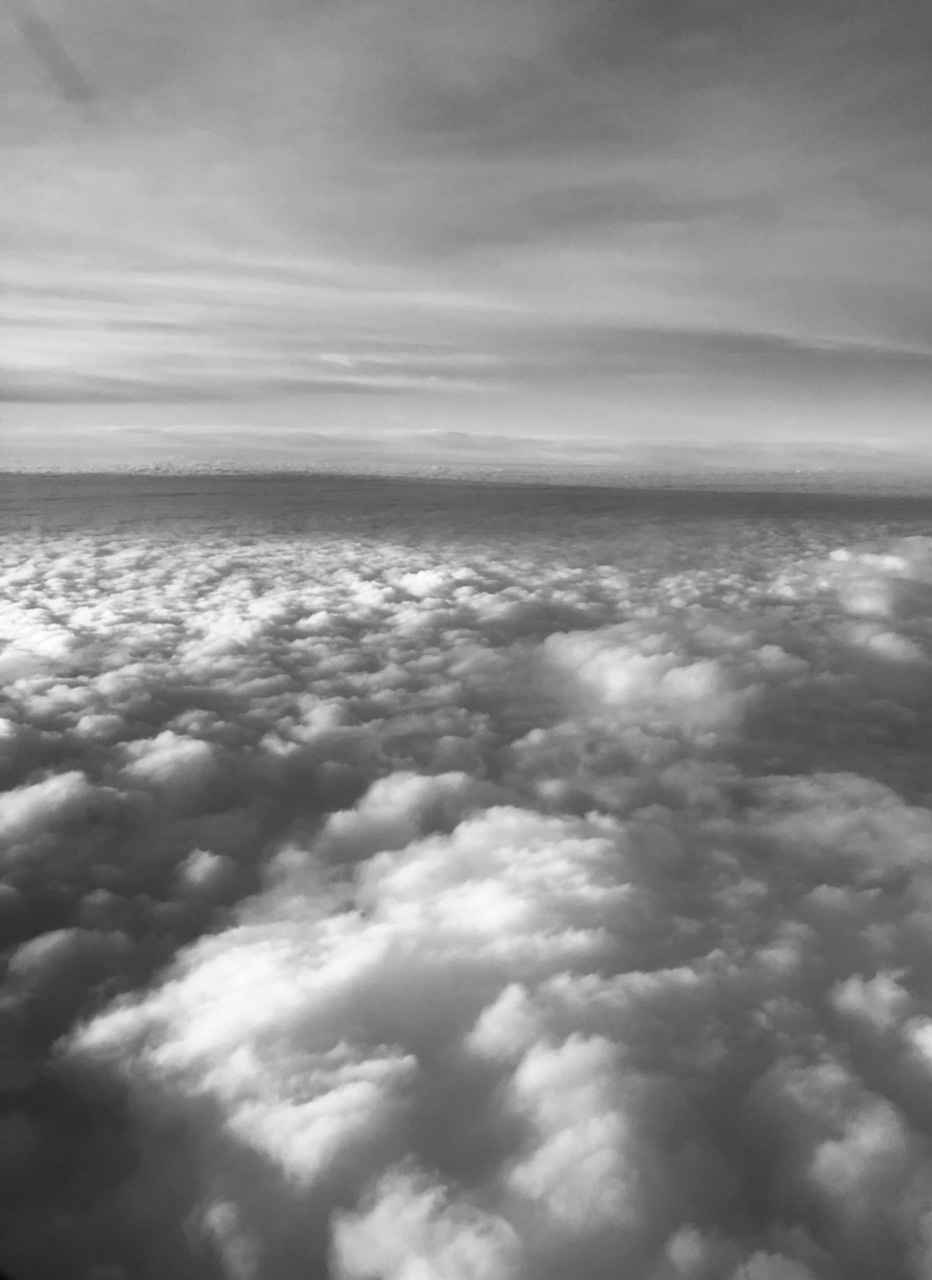 71949B08-BDCA-4EFE-A1C9-75FAEF495061.jpeg