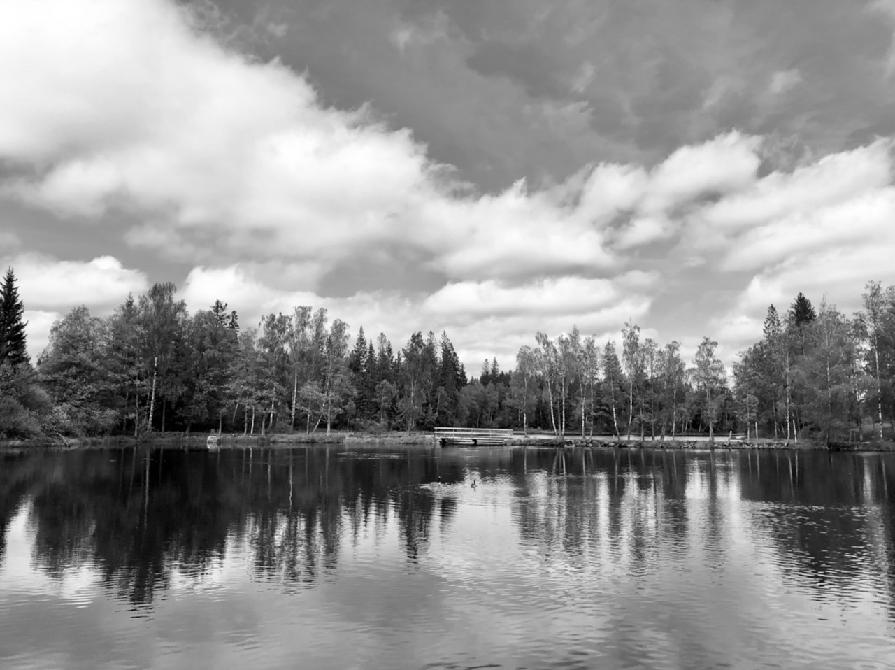 2B09513A-A7C5-4FD5-BA08-B0333502C13E.jpeg