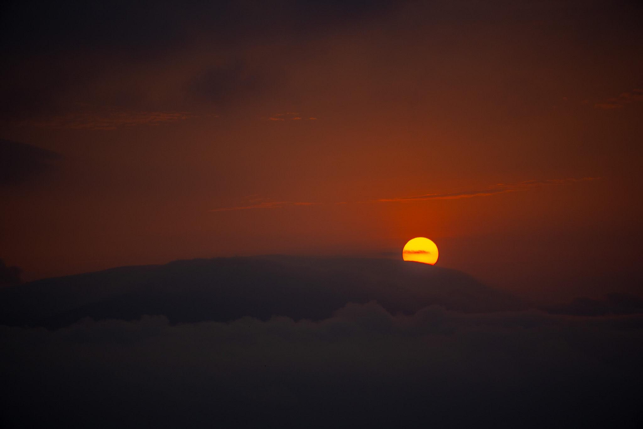 DSC_6558.JPG