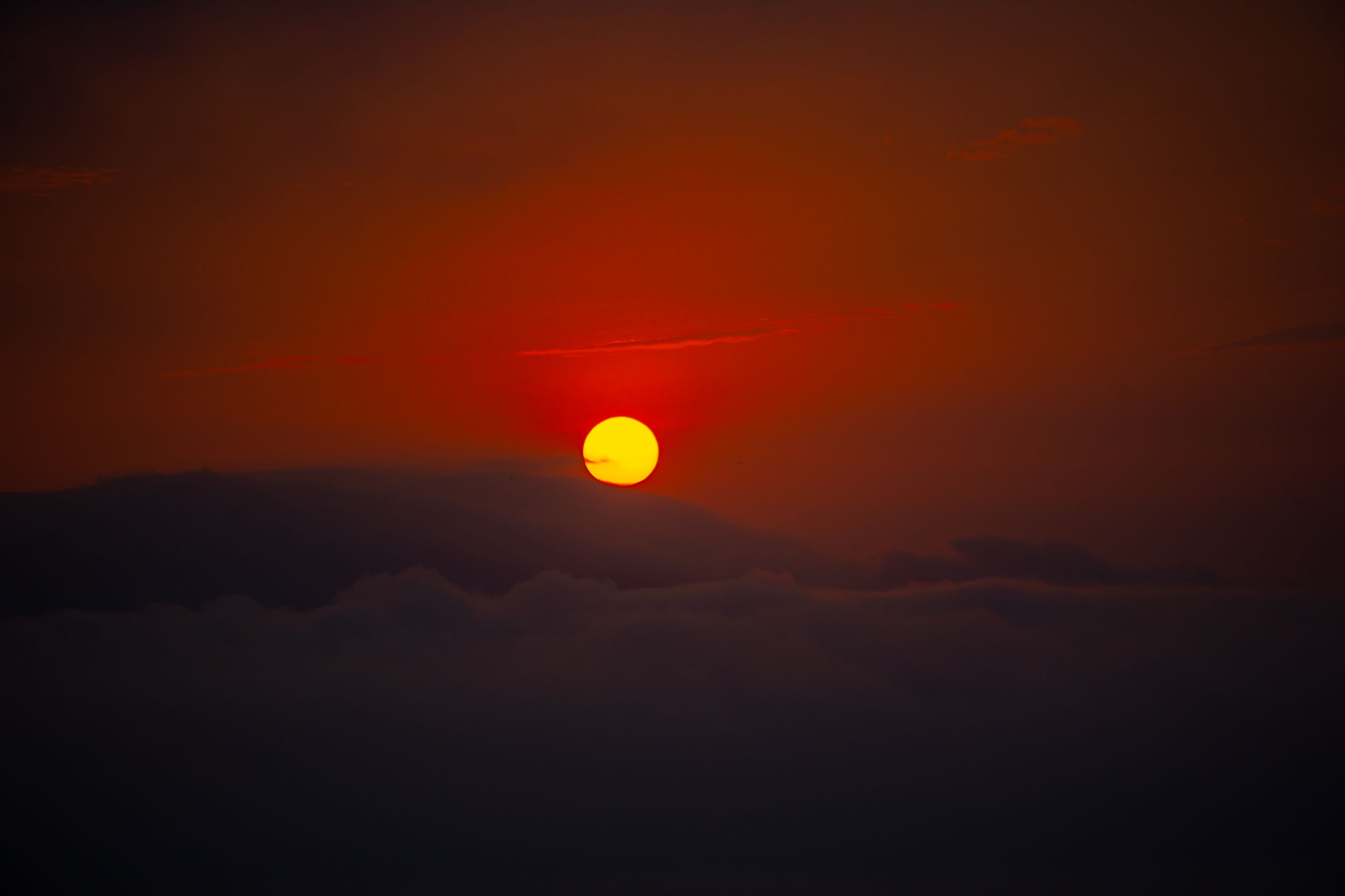 DSC_6562.JPG