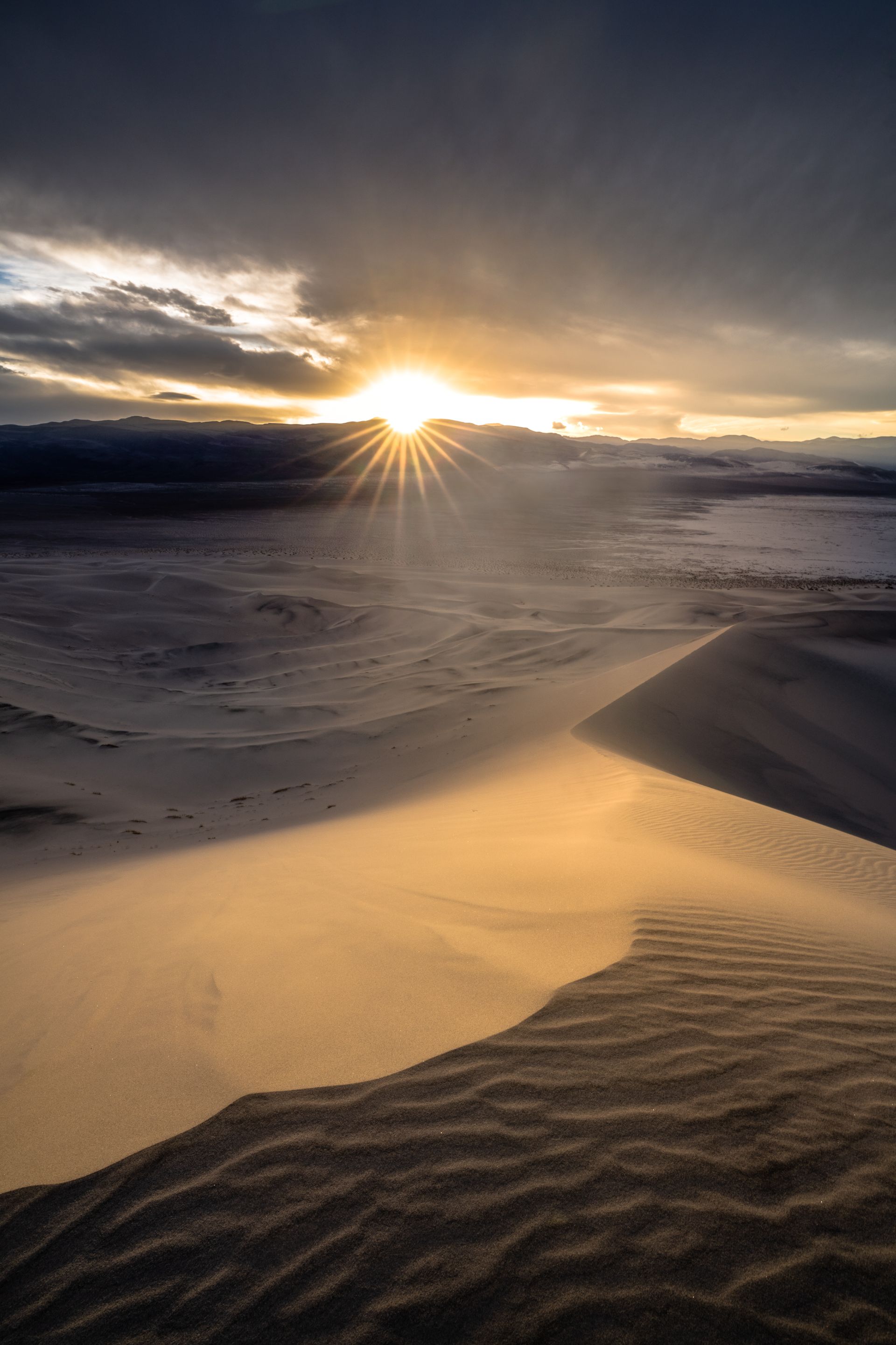 The Star and the Dune.jpg