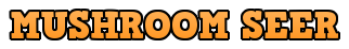 portada 1.png