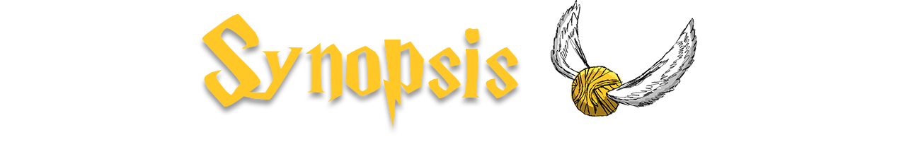 synopsis.png