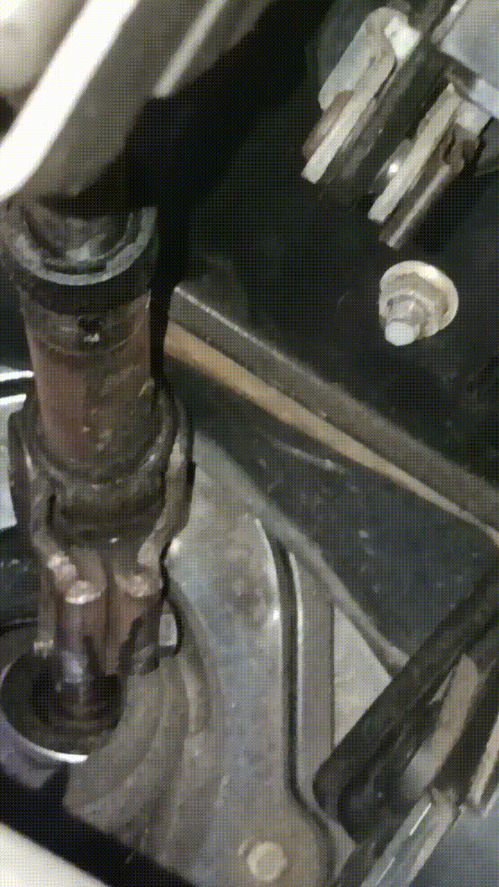 1000133534.gif