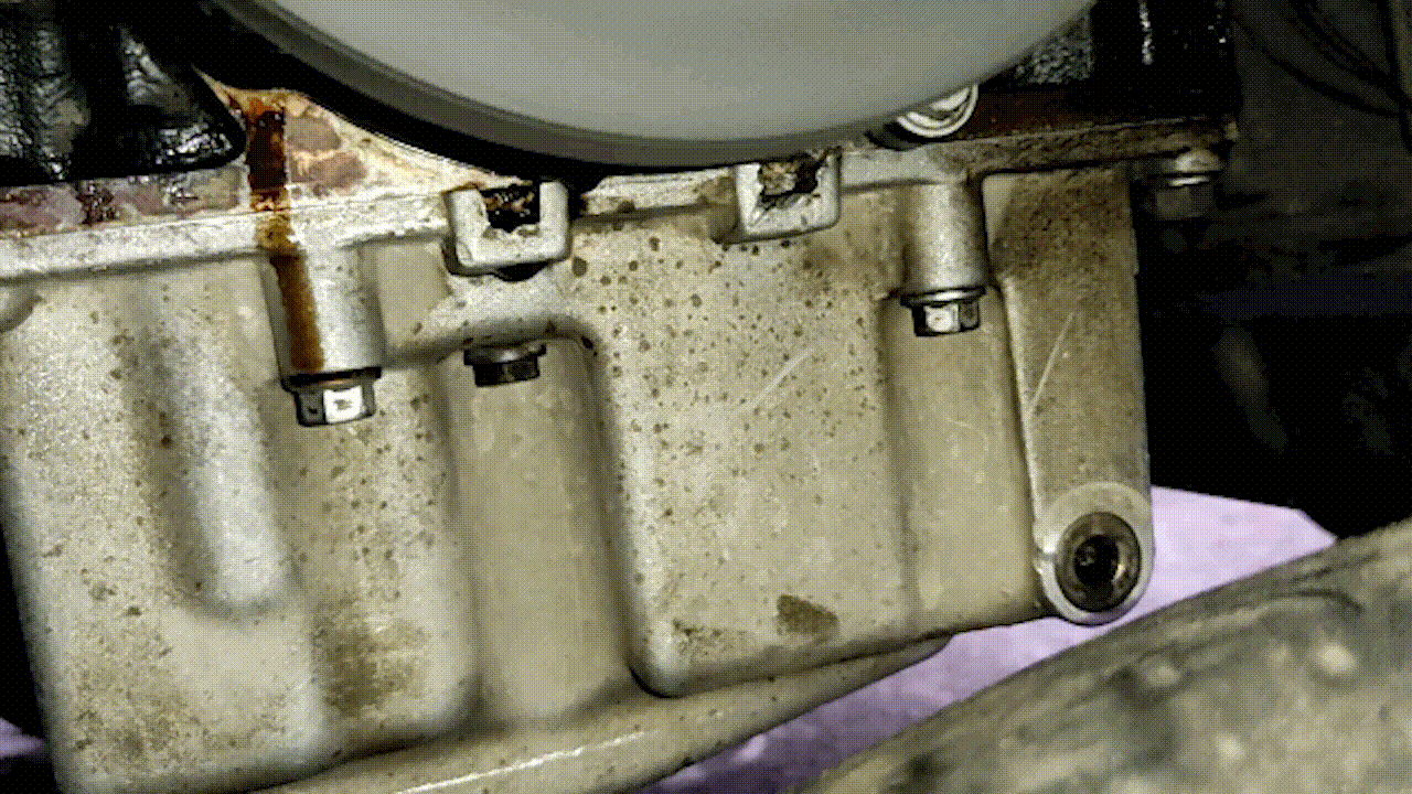 bote aceite (1).gif