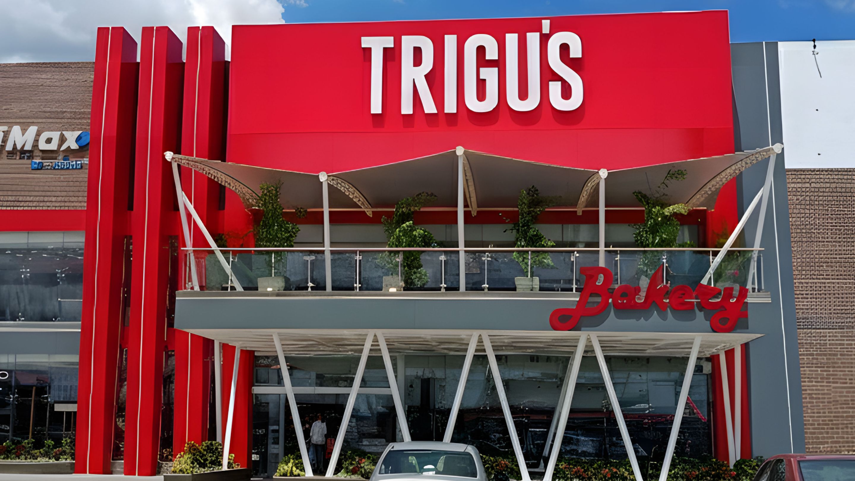 portada trigus_Mesa de trabajo 1.jpg