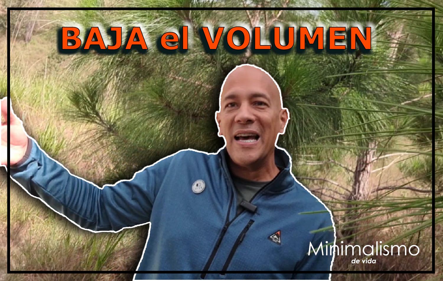 miniaturas volumen.jpg