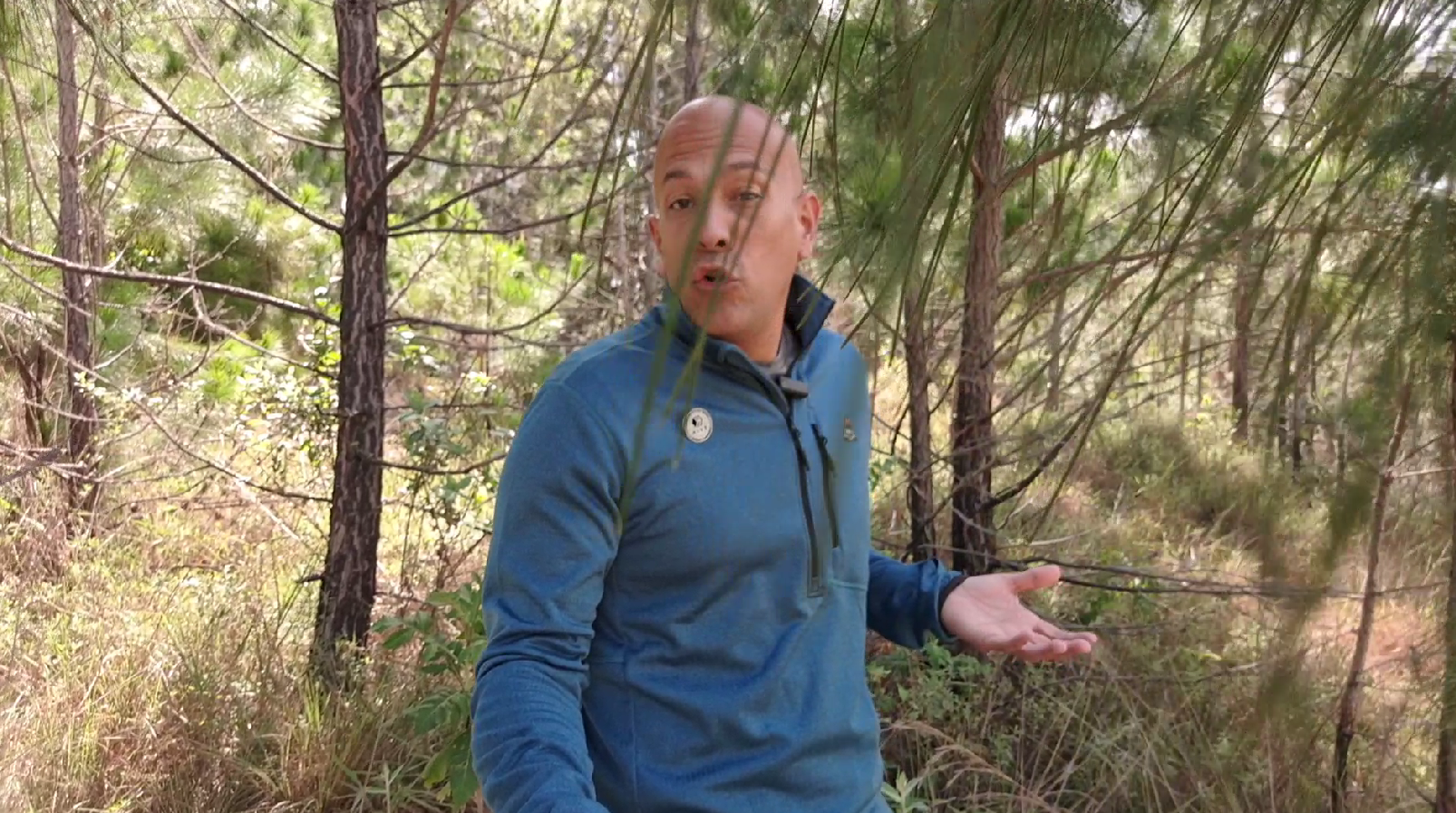 imagen.png