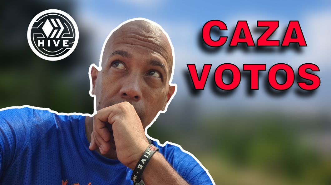 minitura caza votos.jpg