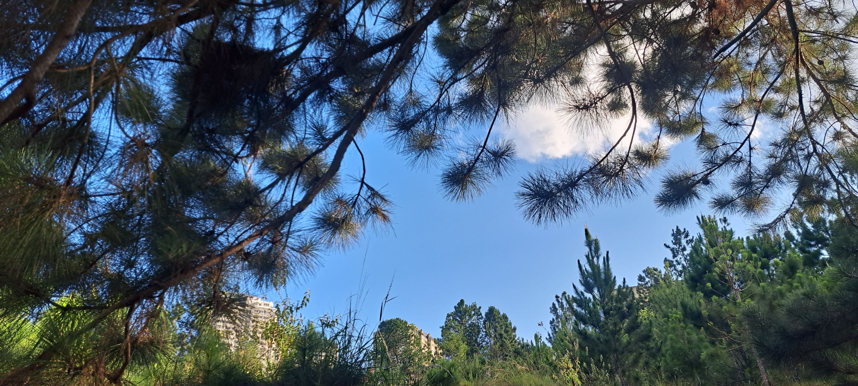 20250716_173756.jpg