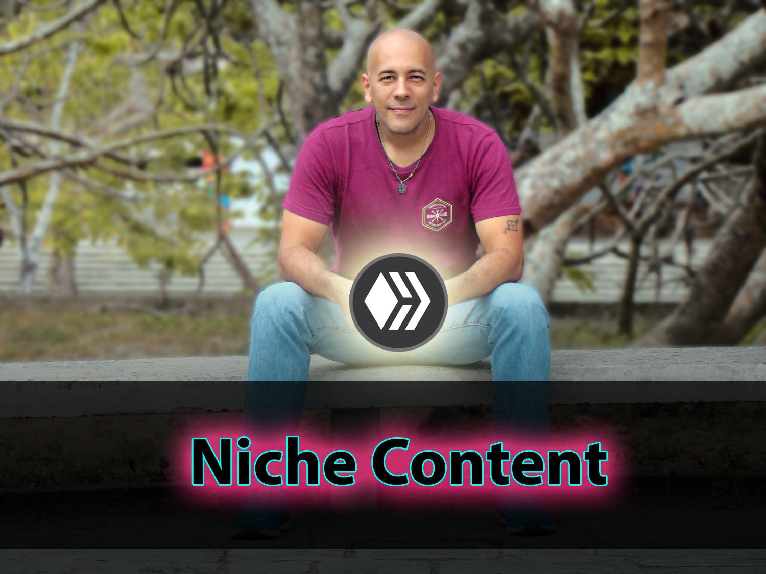 portada contenido de nicho.jpg