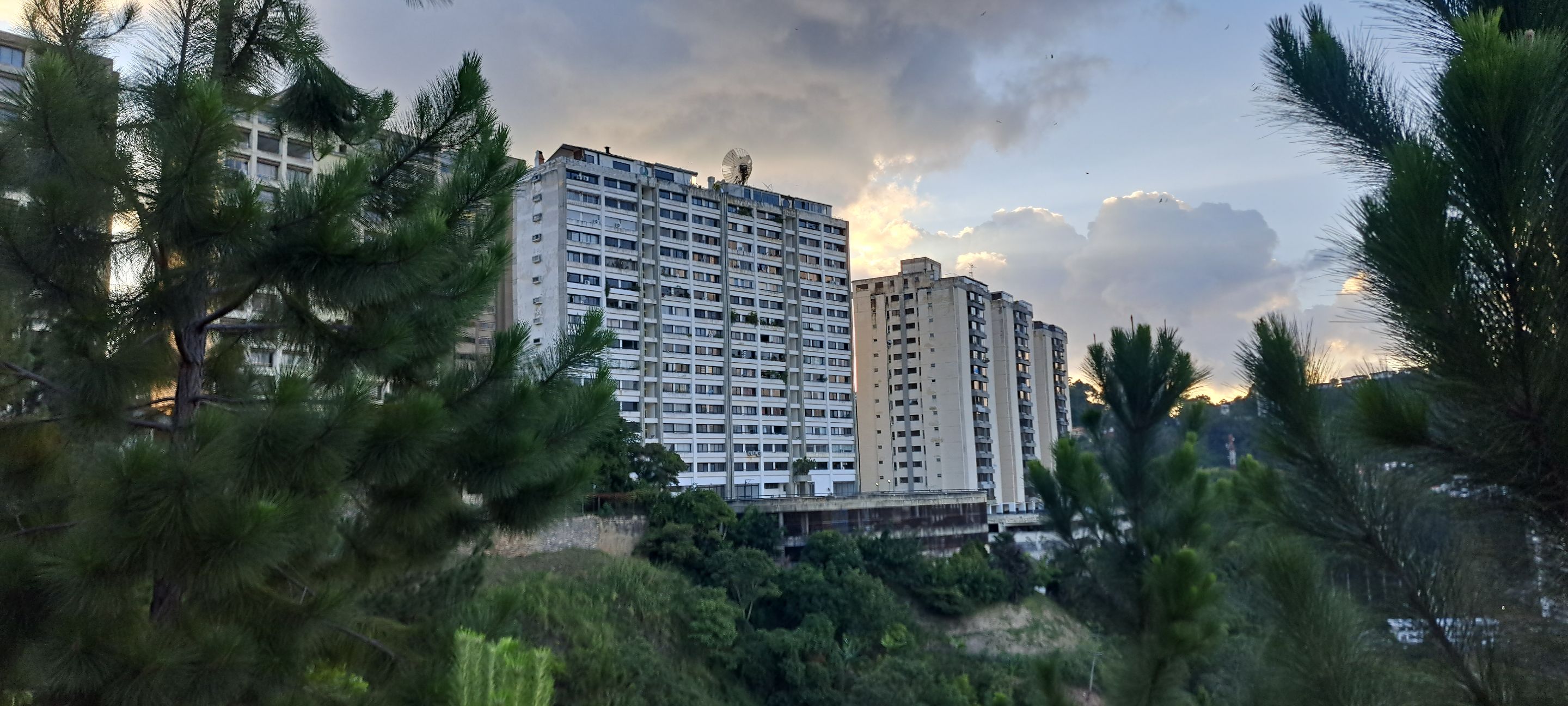 20250716_180010.jpg