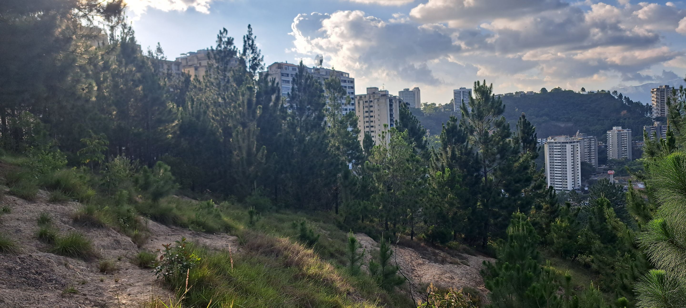 20250716_174637.jpg
