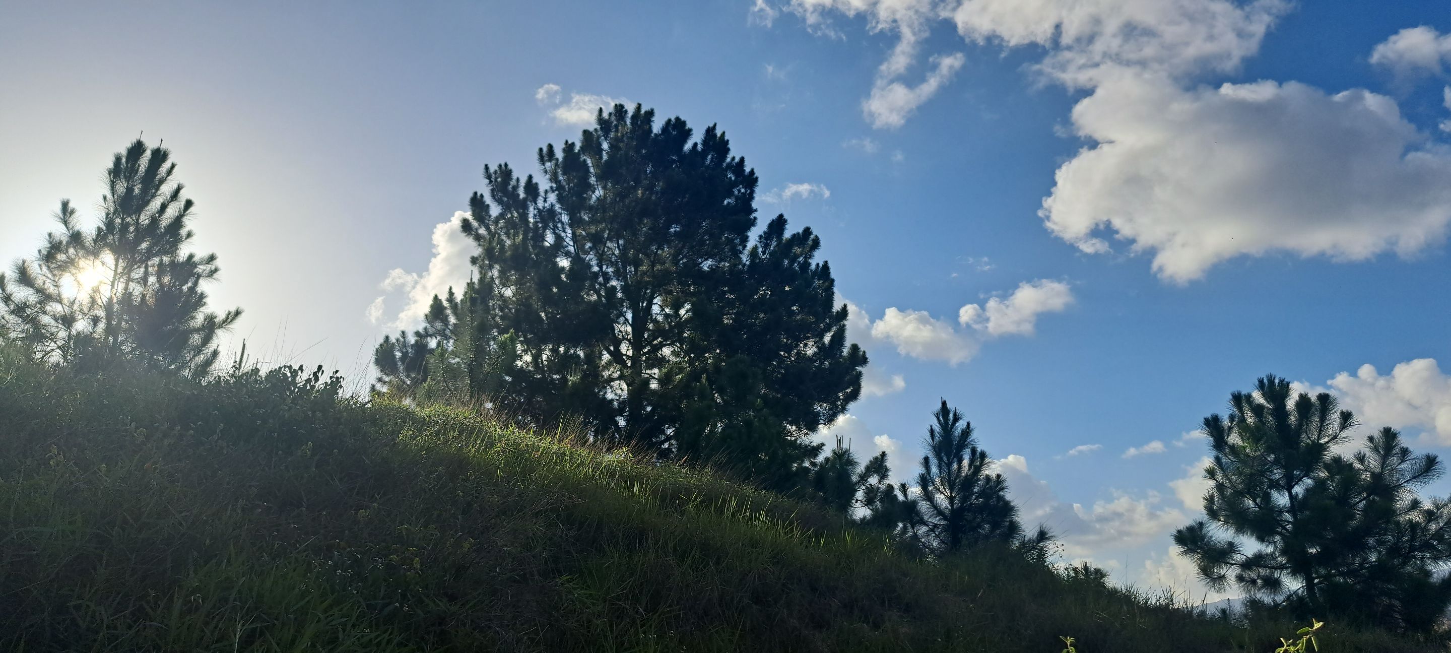 20250715_172110.jpg