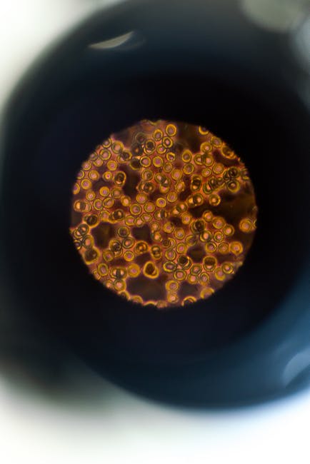 pexelsphoto3913029.jpeg