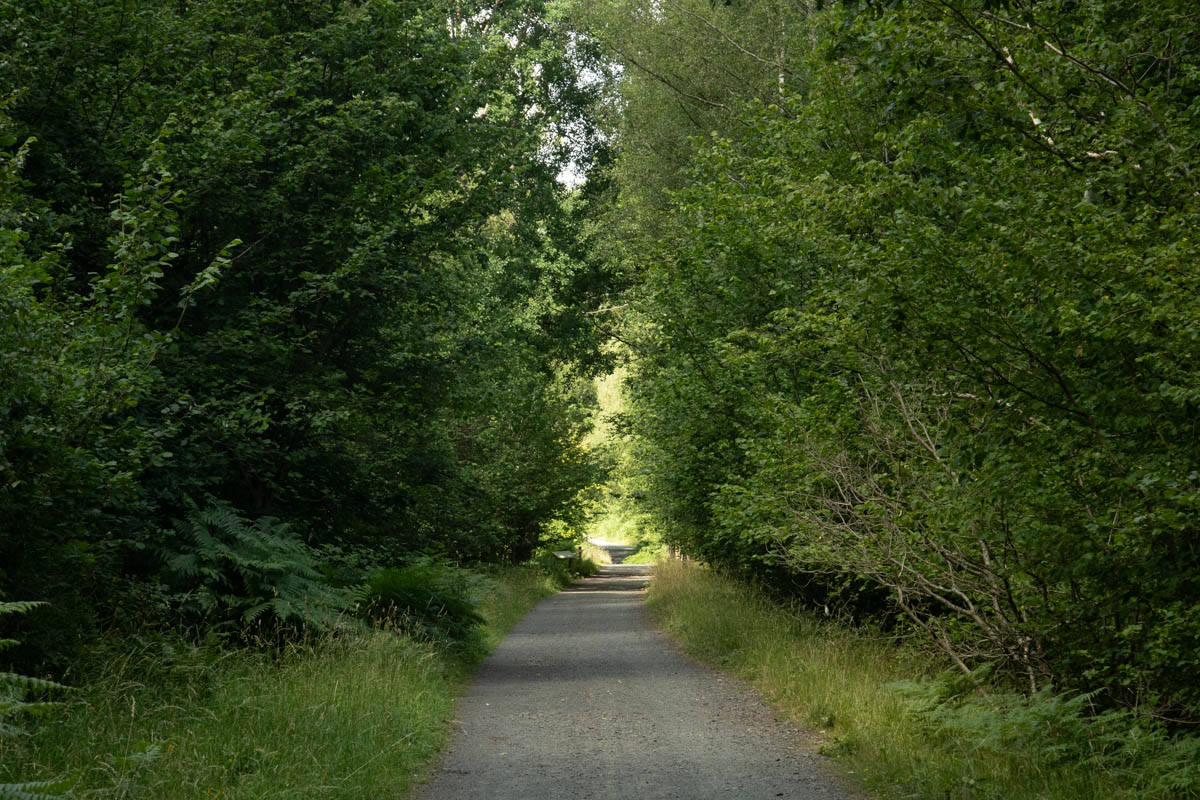 Wyre edits day 3-8.jpg
