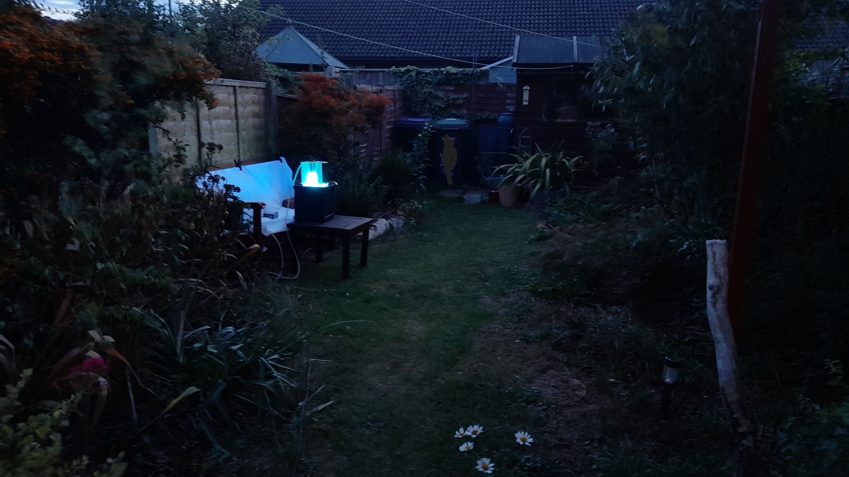 20250906_195501.jpg