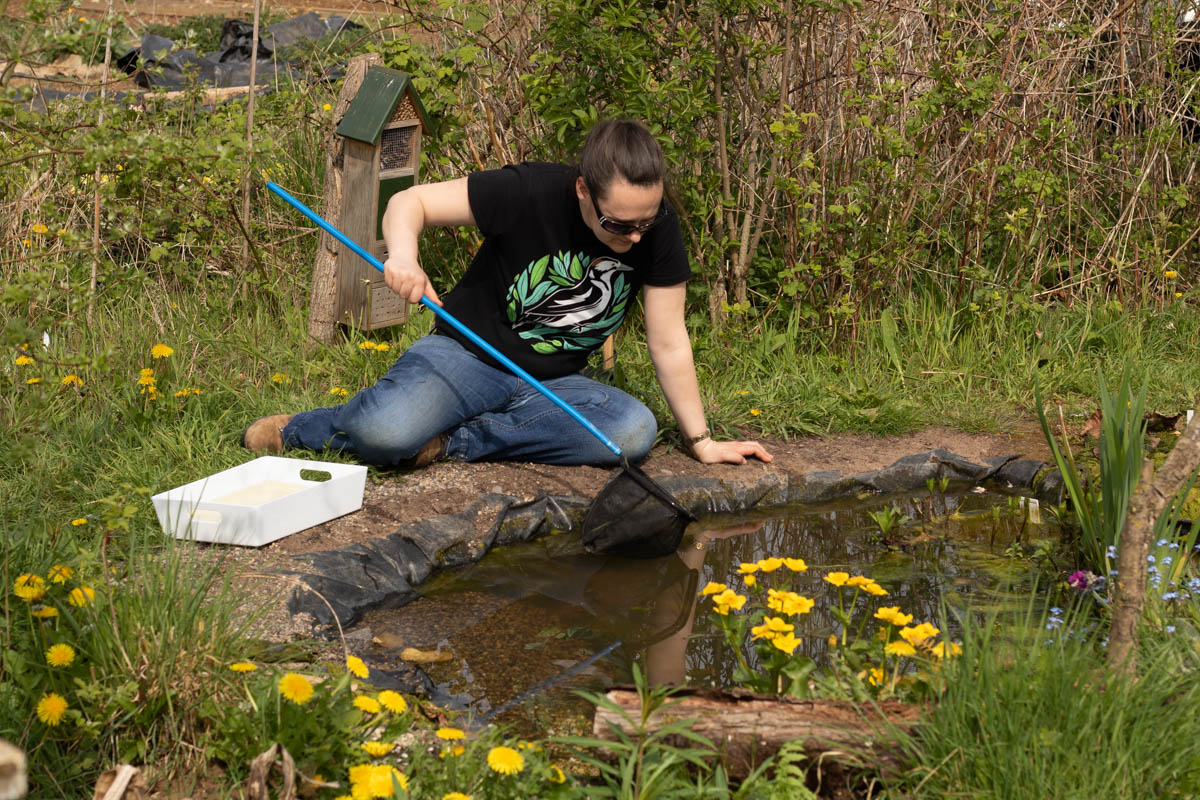 pond dipping (8 of 19).jpg