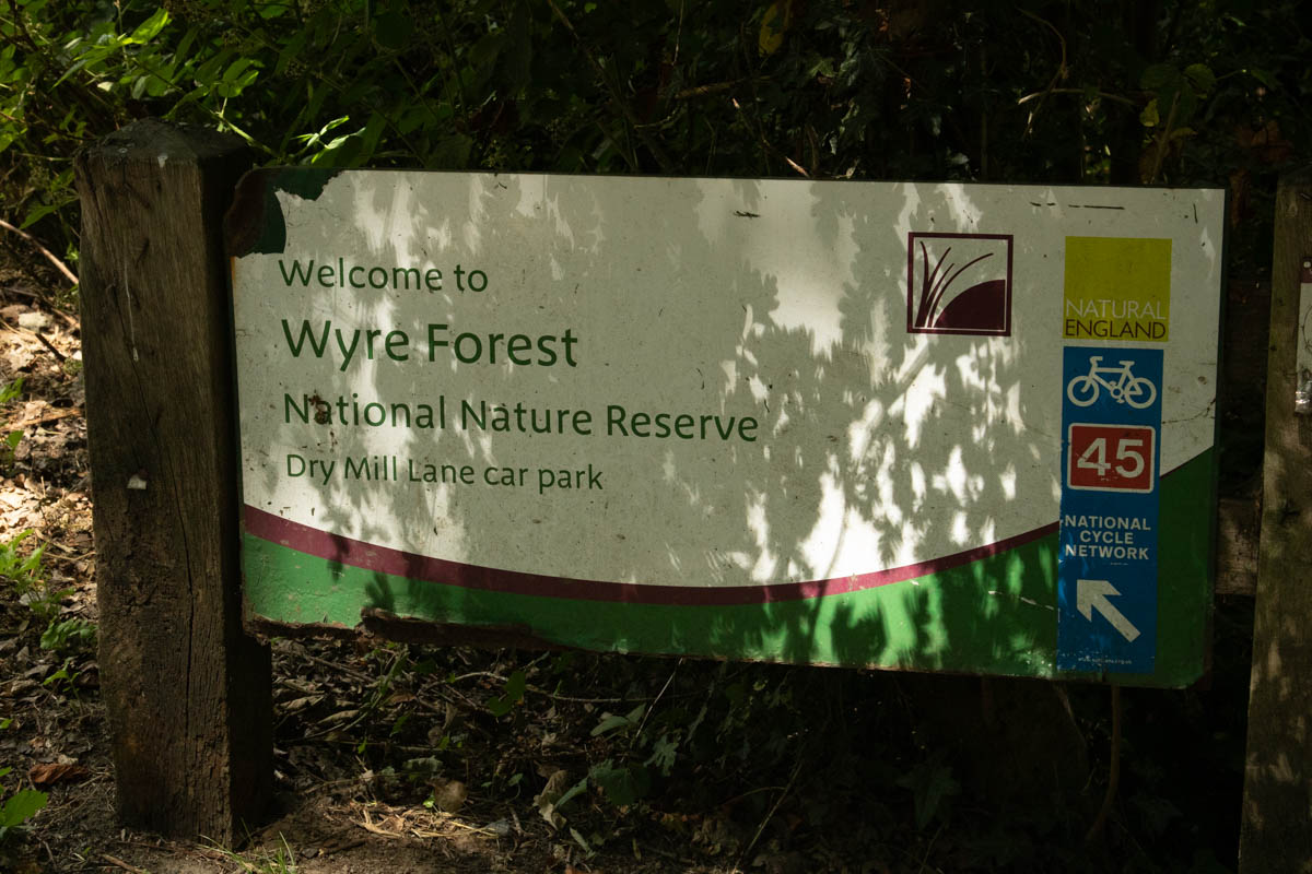 Wyre edits day 3-25.jpg
