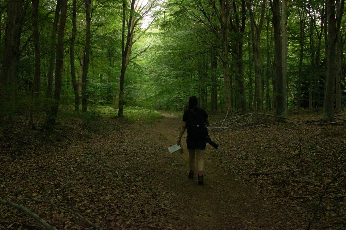 Wyre edits day 1-27.jpg