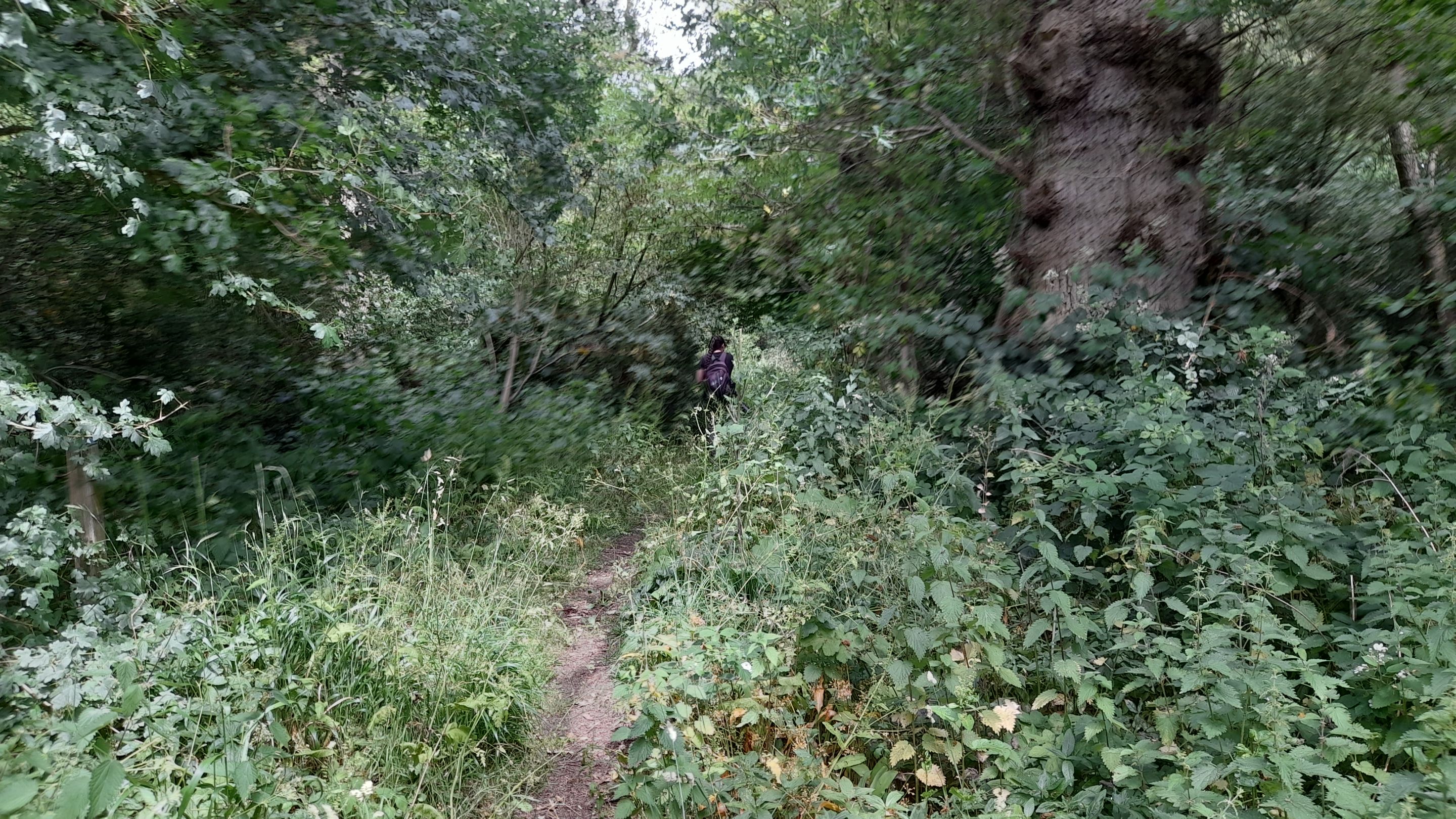 20250621_115739.jpg