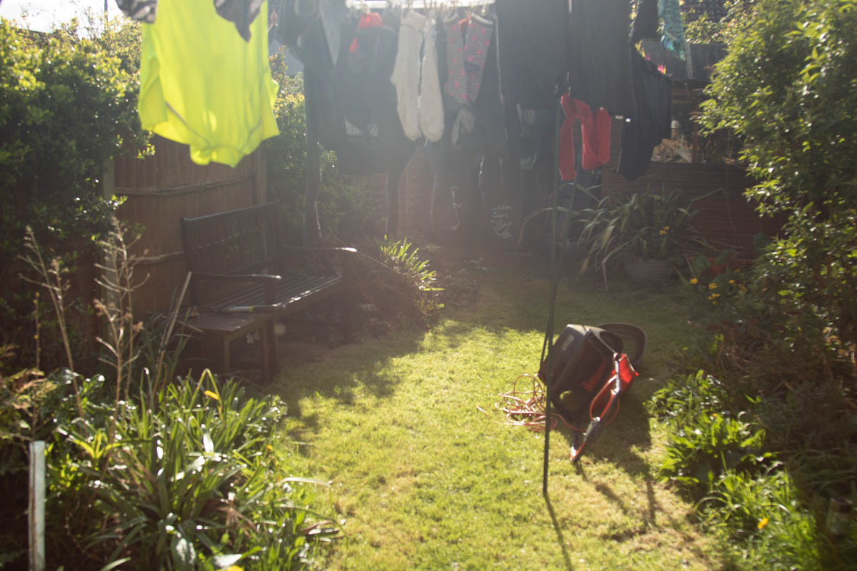 moth 30th march 24-1.jpg